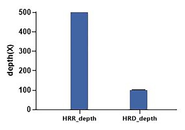 新品上线 %7C &ldquo;暗探针&rdquo;技术助力HRD研究，精准医疗又添一利